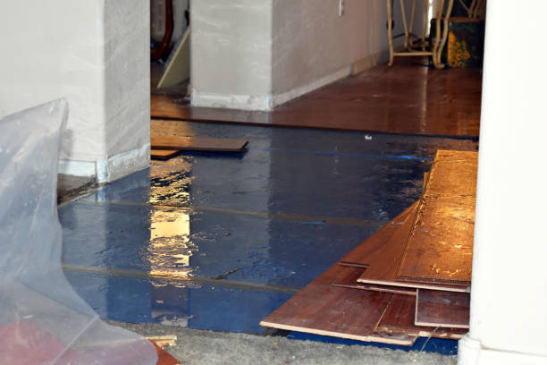 Professional Emergency Water Damage technician working in Rhome, TX